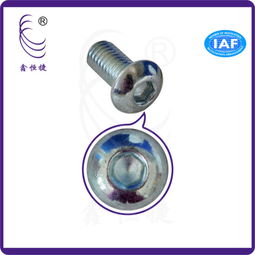 專業(yè)解析 內(nèi)六角盤頭螺絲M6、鉆尾自轉(zhuǎn)螺絲及其工廠供應(yīng)
